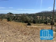 Pitsidia Kreta, Pitsidia: Grundstück am Ortsrand zu verkaufen Grundstück kaufen